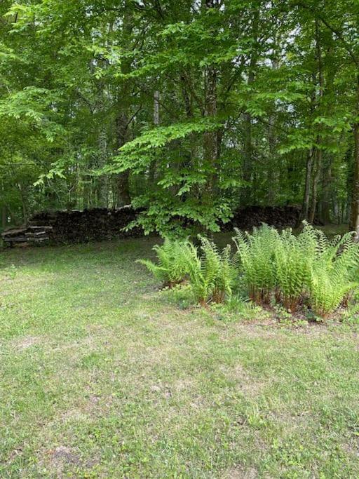 Gite Les Reculons Au Pied Du Lac Les Midoux Exterior photo